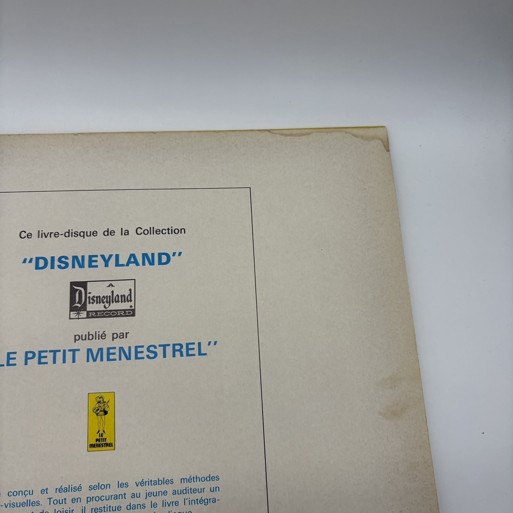 Walt Disney Robin Des Bois LP 1974 French Disneyland Records ST-3810 F VG+ - Picture 8 of 16